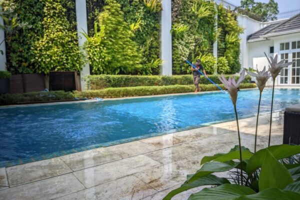 Portofolio Dream Pool Jakarta 2